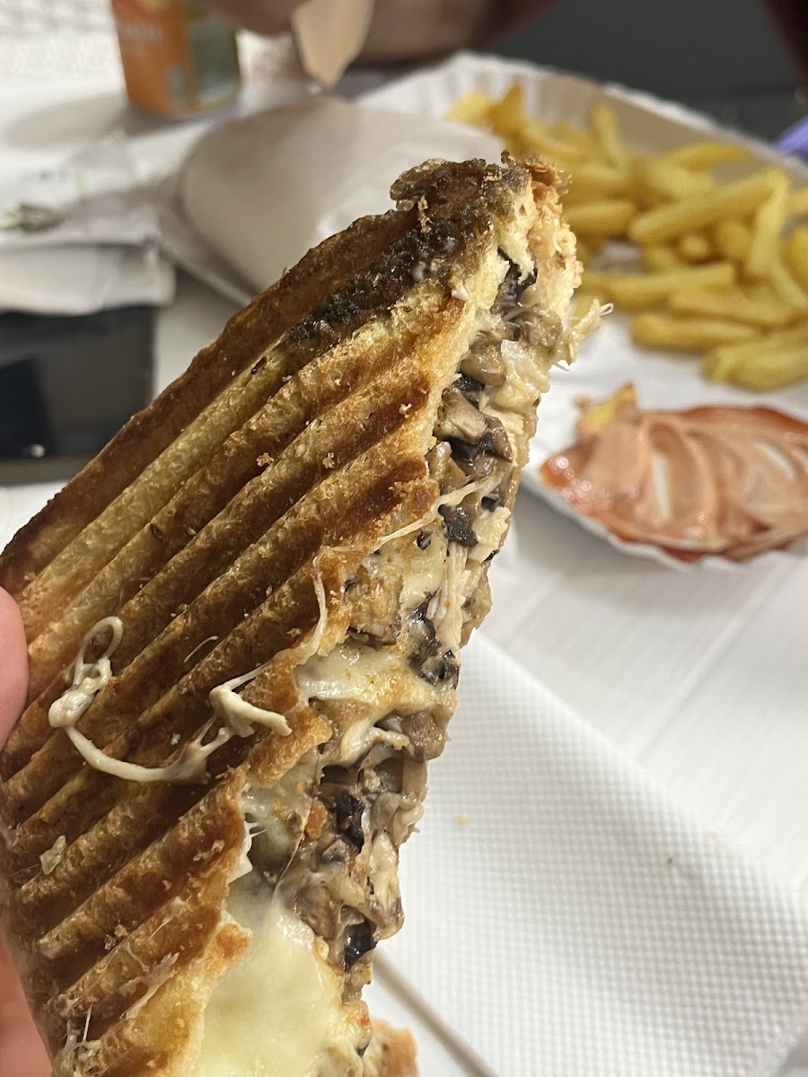 Mega Toastie Roastie-5