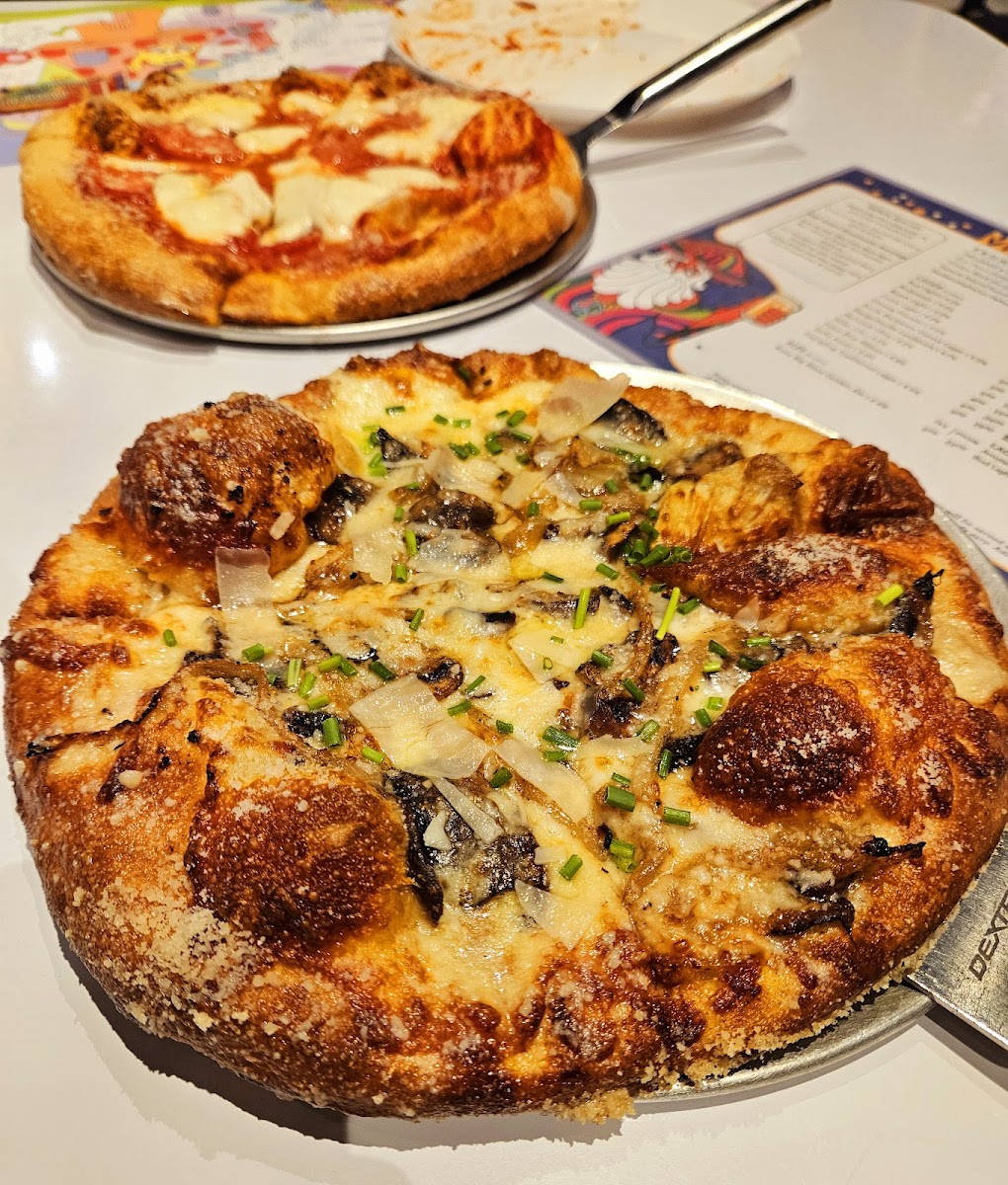 Mellow Mushroom Lakeland-7