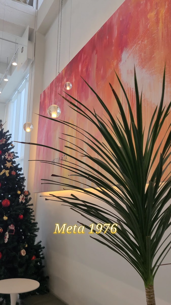 Meta 1976-2