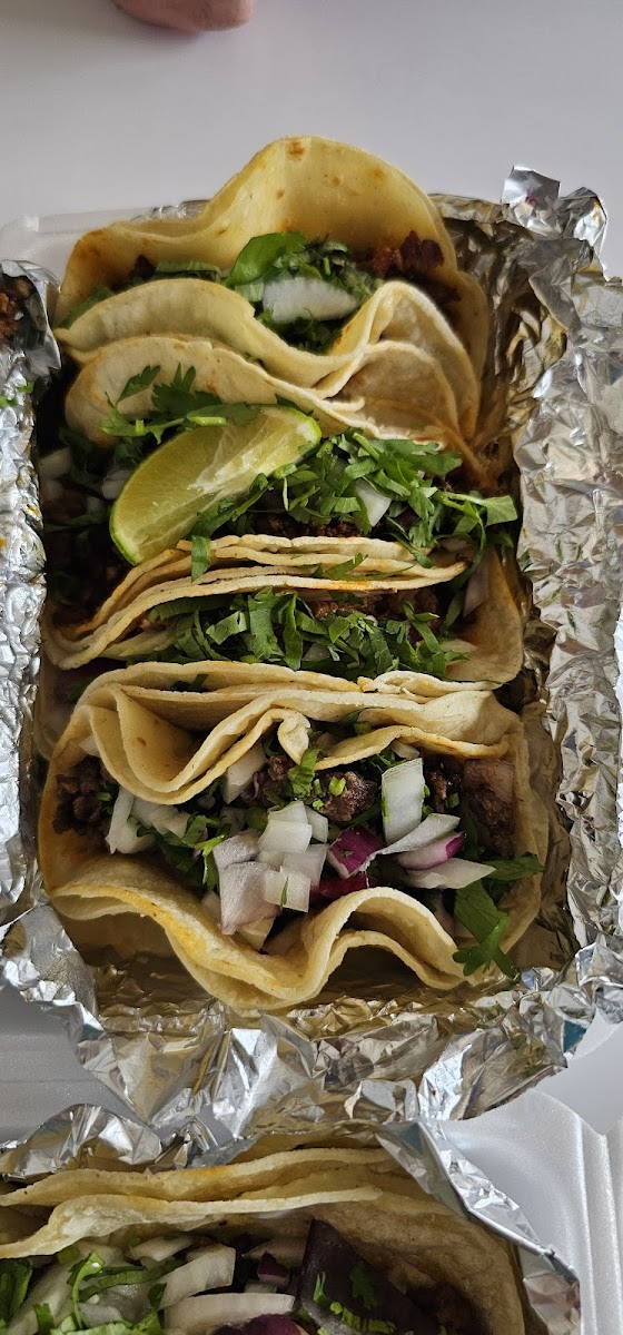 Mexichina Express-7