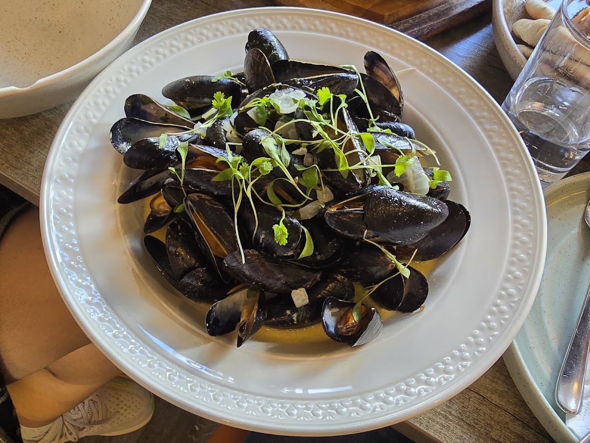 Michael's Mediterranean Restaurant-6