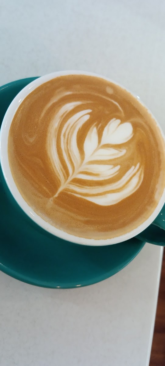 Milktooth Coffee Dealers-6