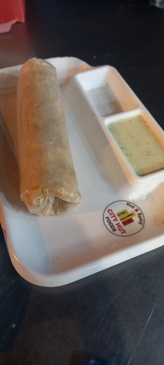 Mirch N Spicy - City Hut Foods-8