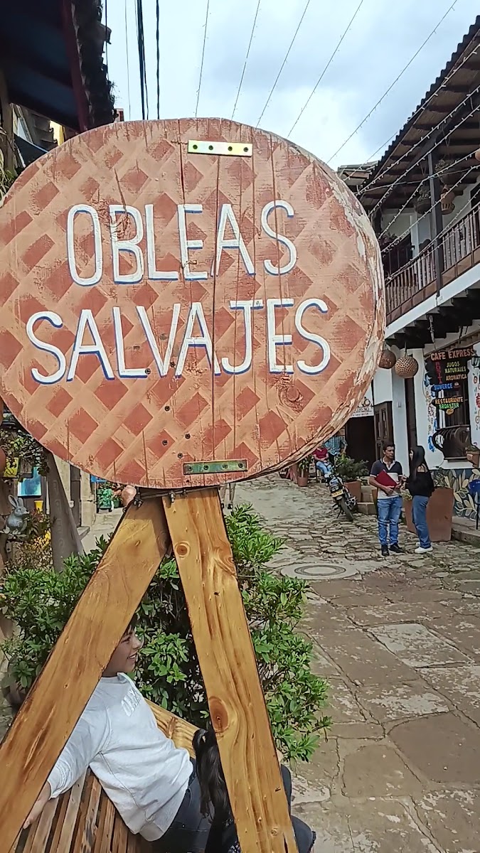 Mis Abuelos Helado Artesanal-2