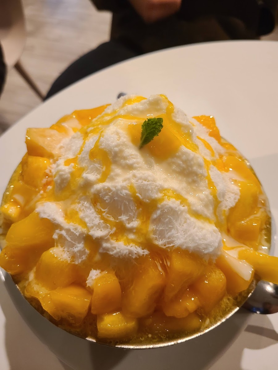Modoo Korean Restaurant 모두 식당-10