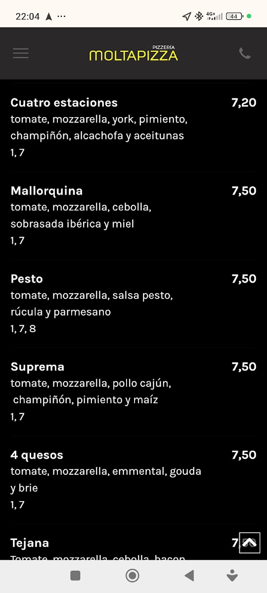 Menu Moltapizza-3
