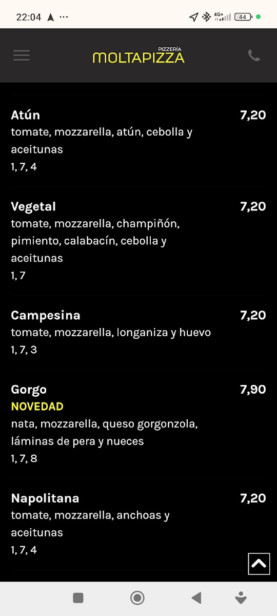 Menu Moltapizza-6