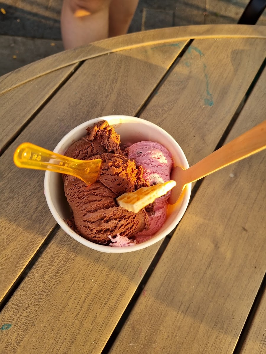 Moo-Lix Ice Cream Shop-10