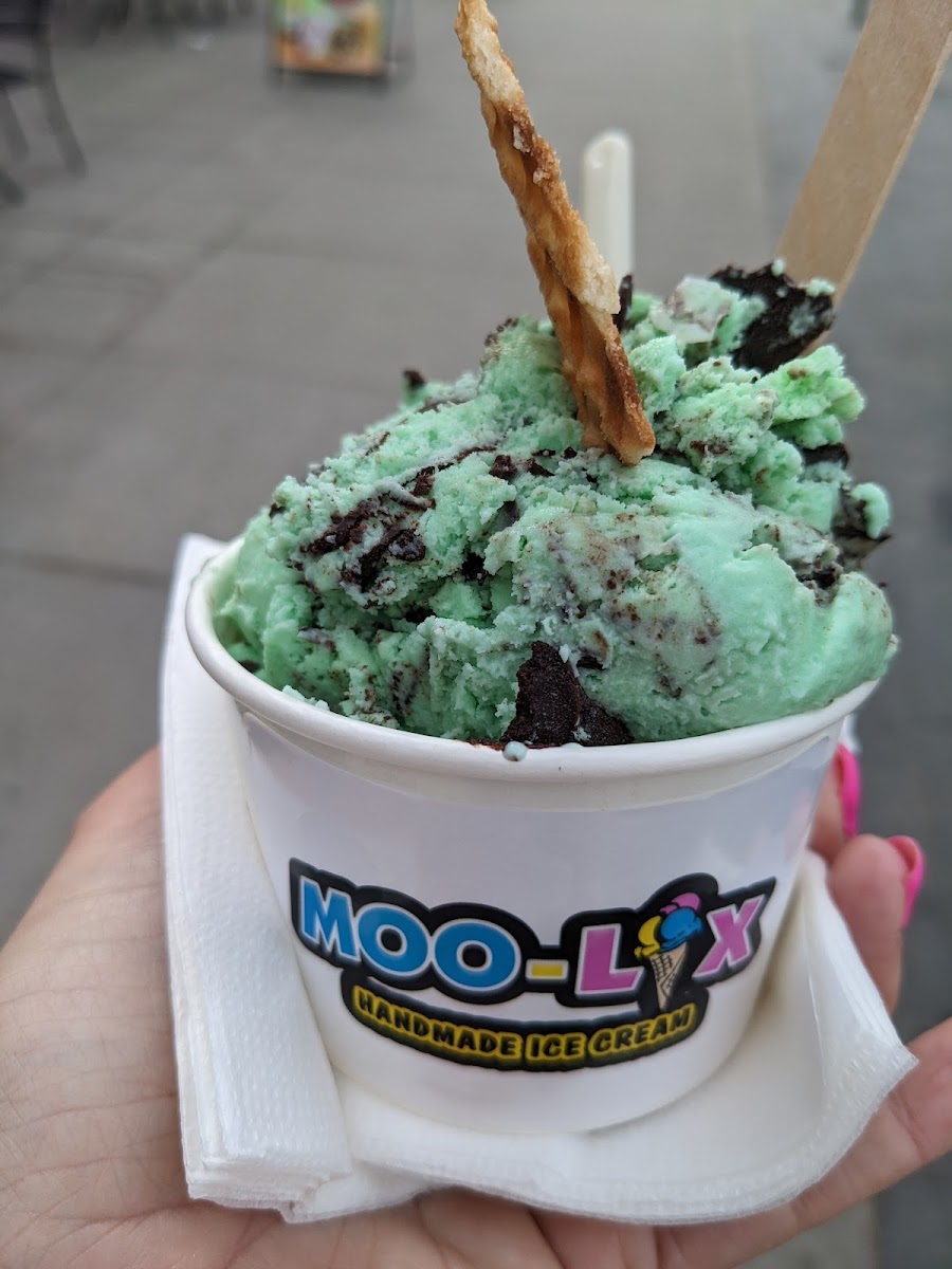 Moo-Lix Ice Cream Shop-7