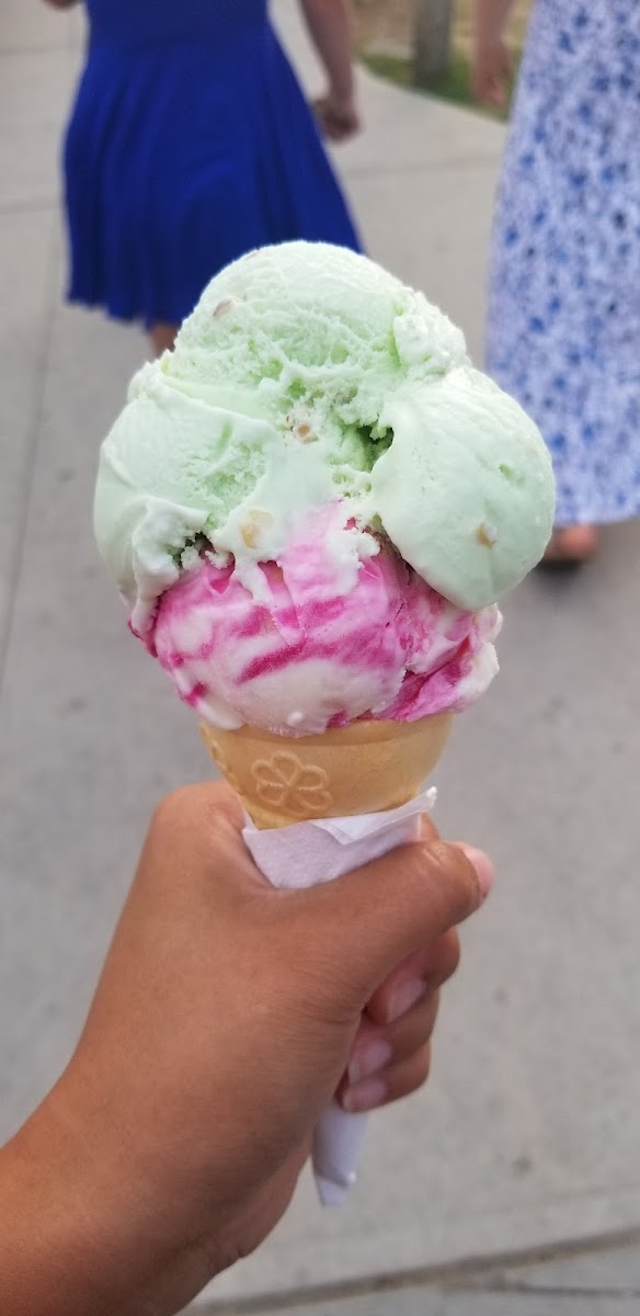 Moo-Lix Ice Cream Shop-9