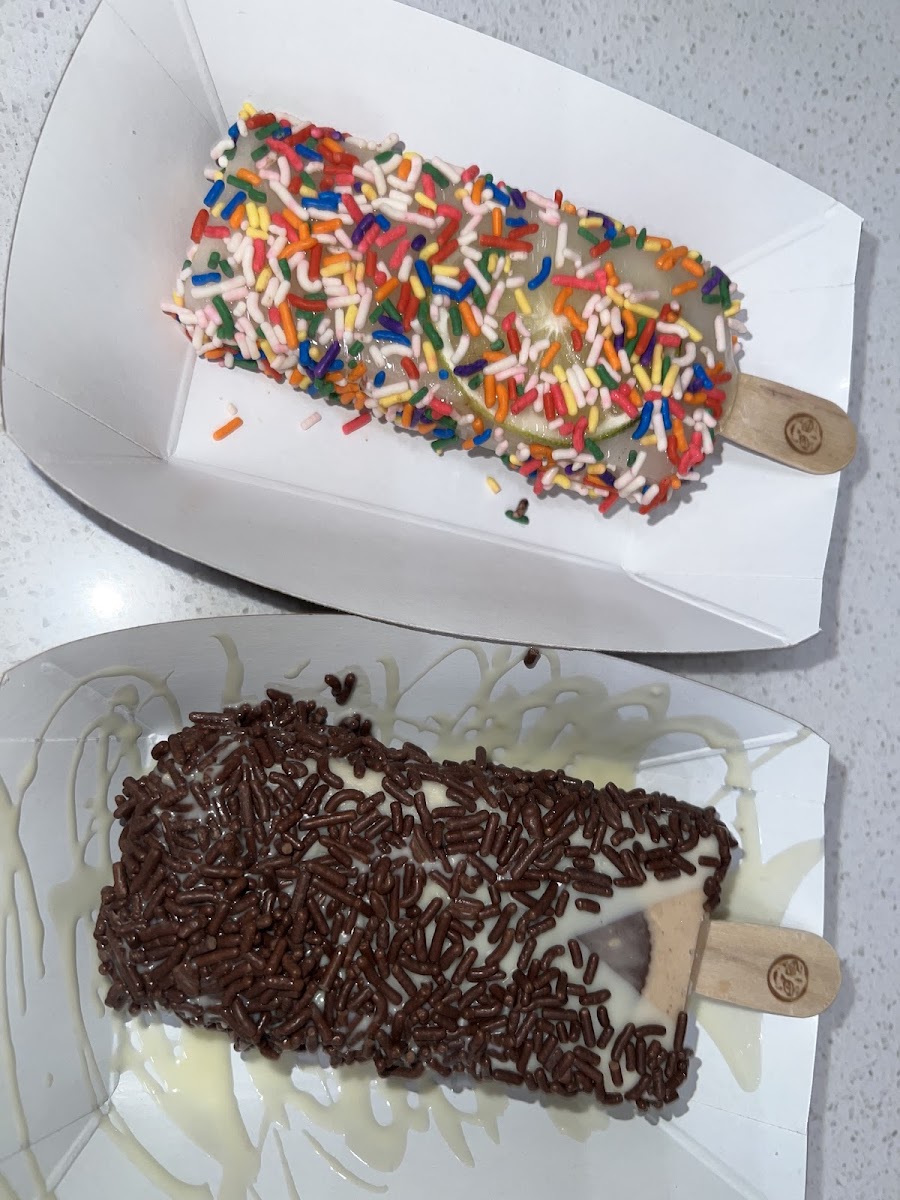 Morelia Ice Cream Paletas - West Palm Beach-4