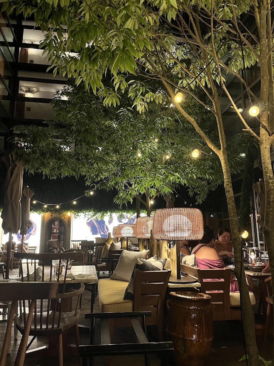 Morimoto Bordeaux