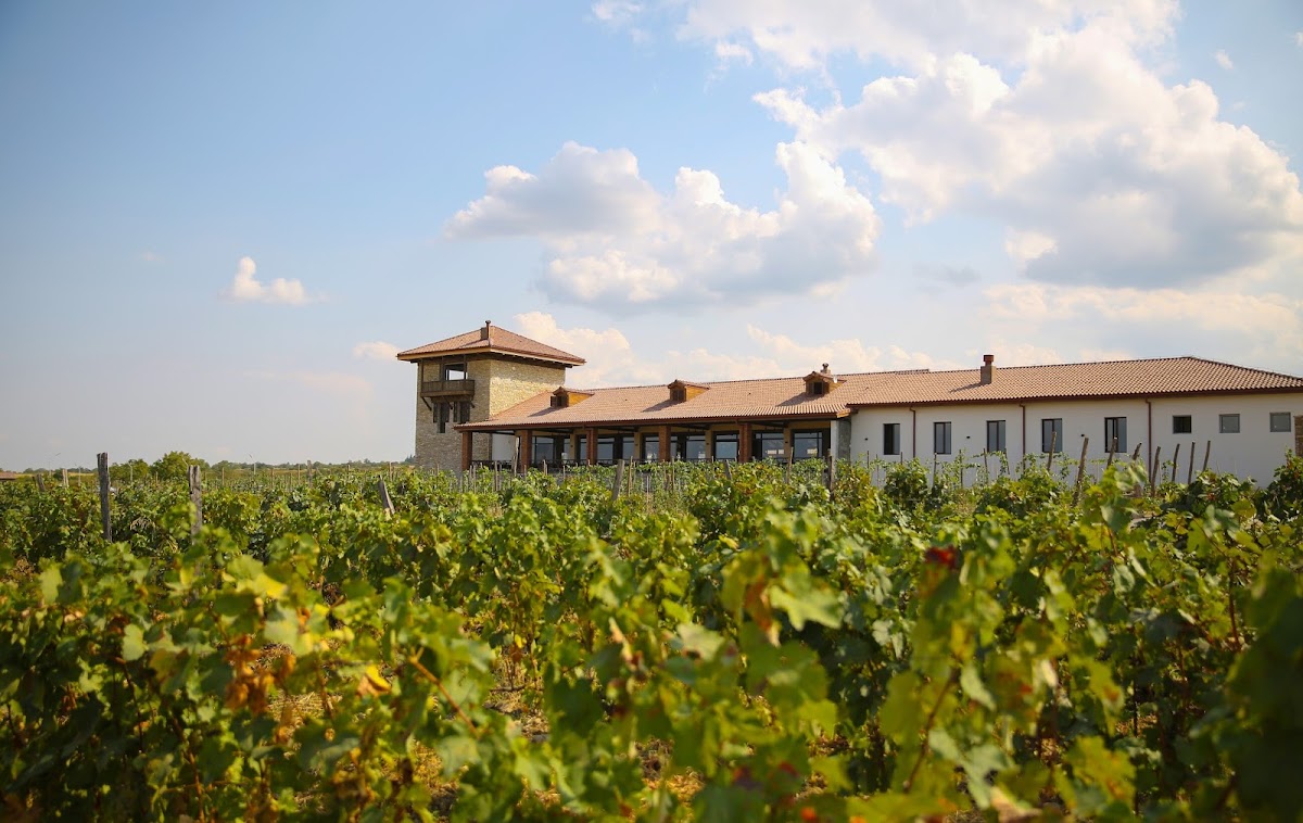 Mosmieri Kakheti Wine Center-4