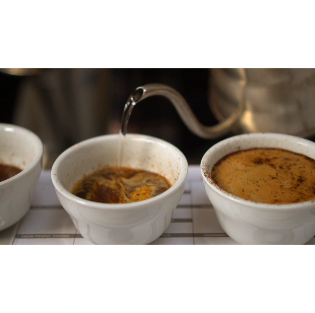 Mostra Coffee-2