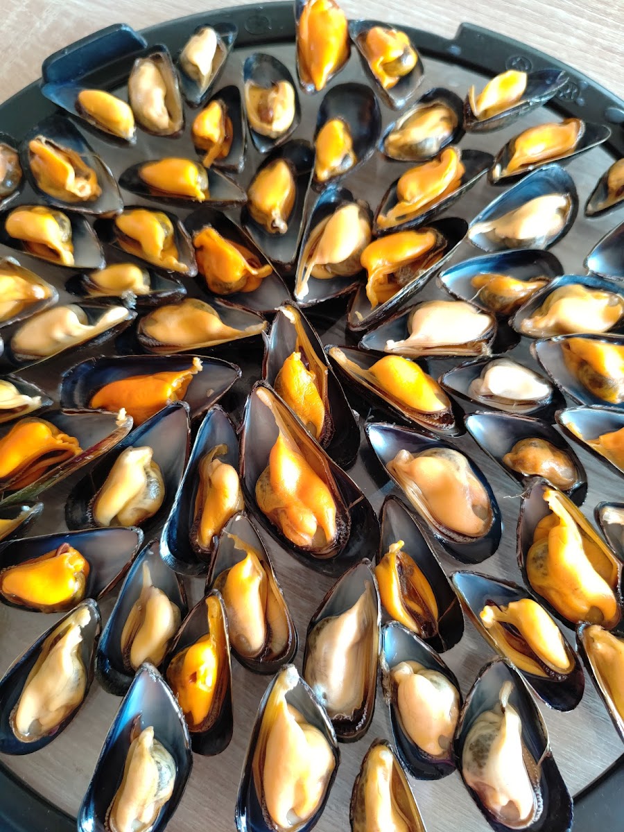 Moule Brothers-2