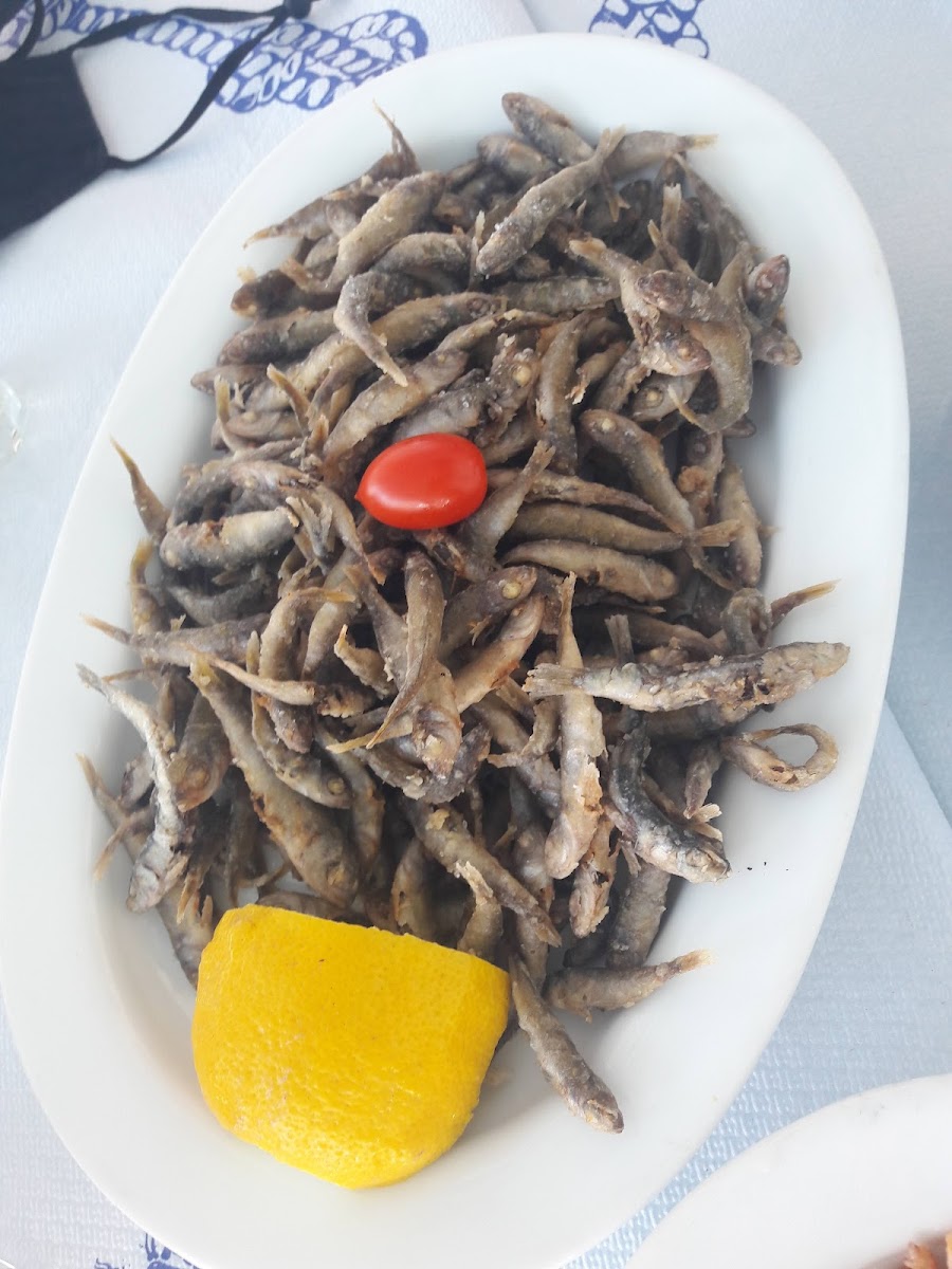 Mouragio Taverna-7