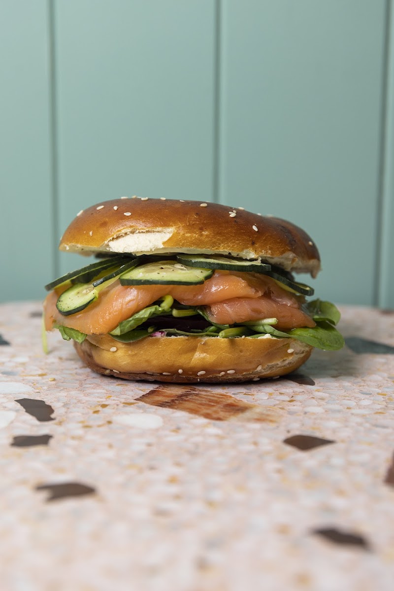 Mr Sandwich-5