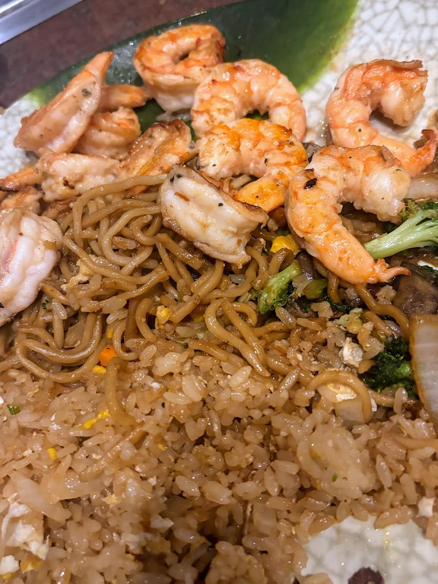 Mt Fuji Hibachi & Sushi-10