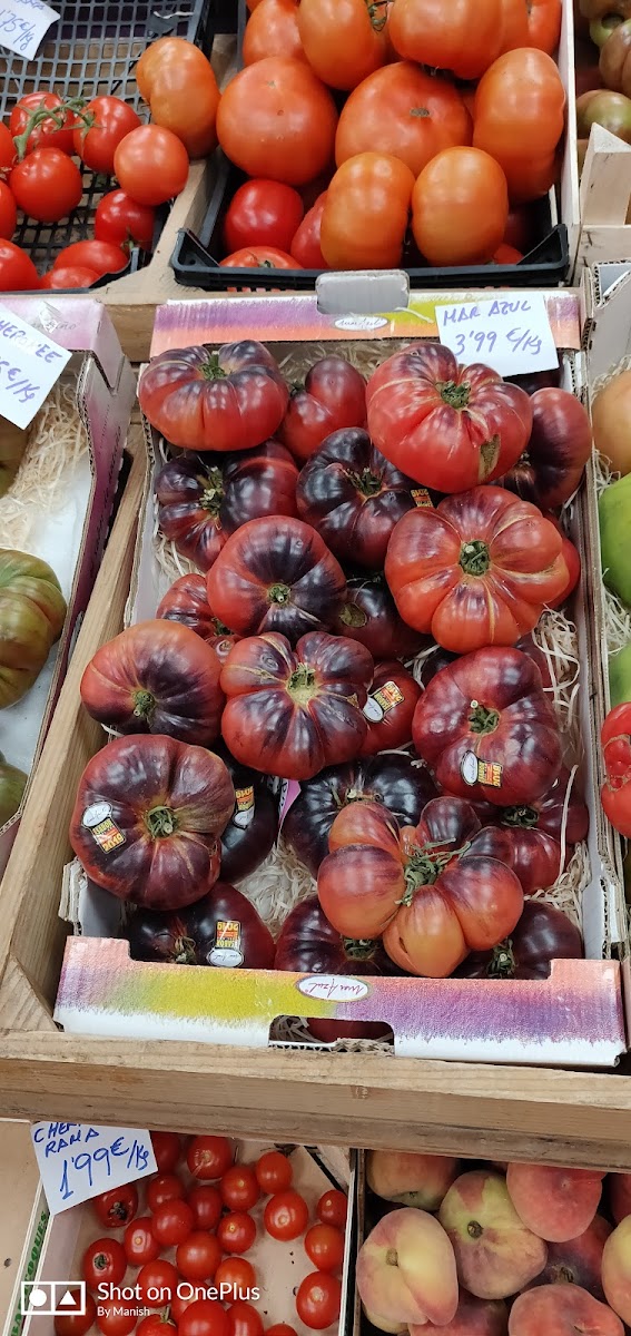 Muglia 2-7