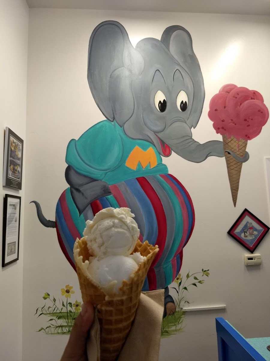 Munnerlyn's Ice Creamery-4