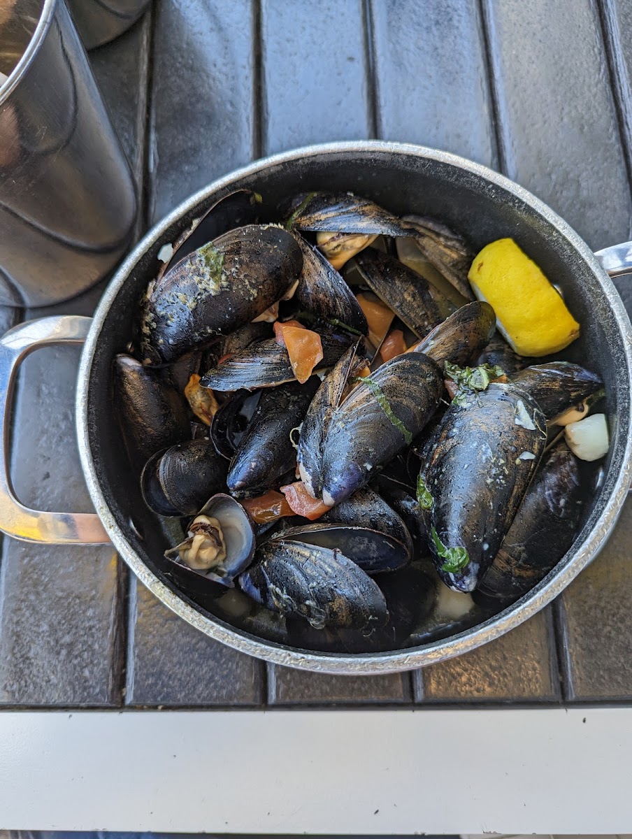 Mussel Beach-5
