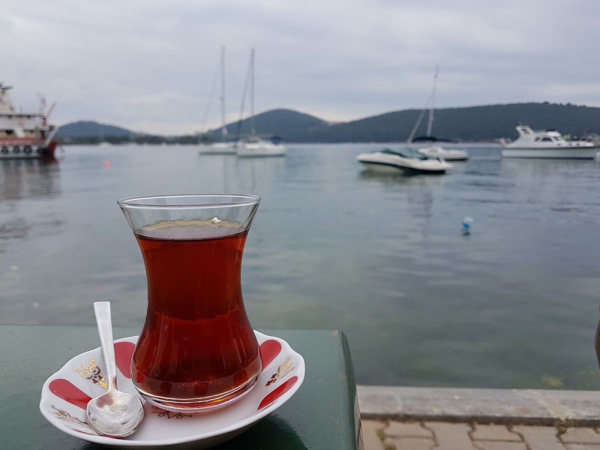 Nadir Çayevi-4