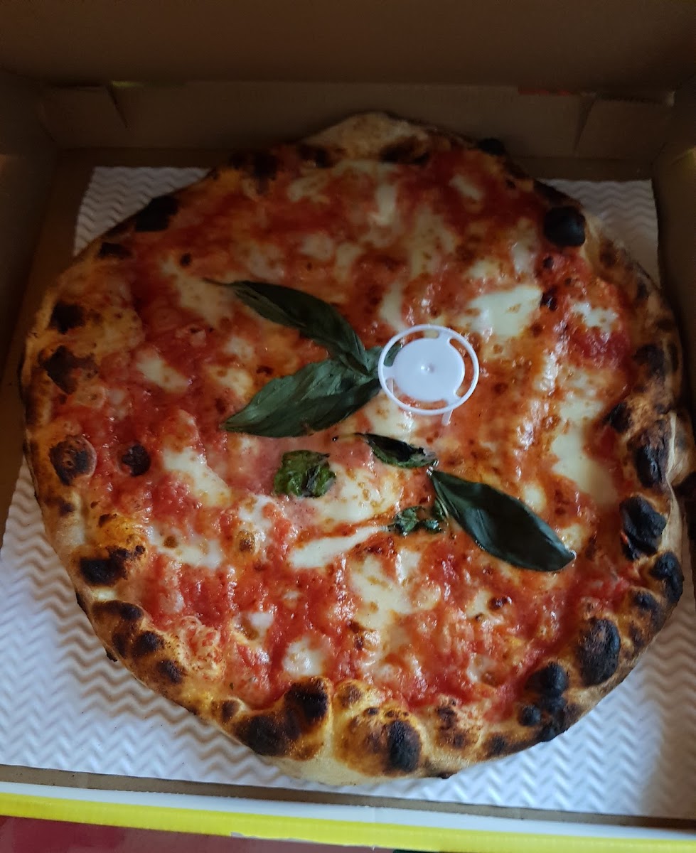 Napoli Gang-6