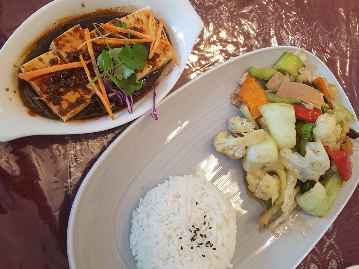 Nature Vegetarian Food-3