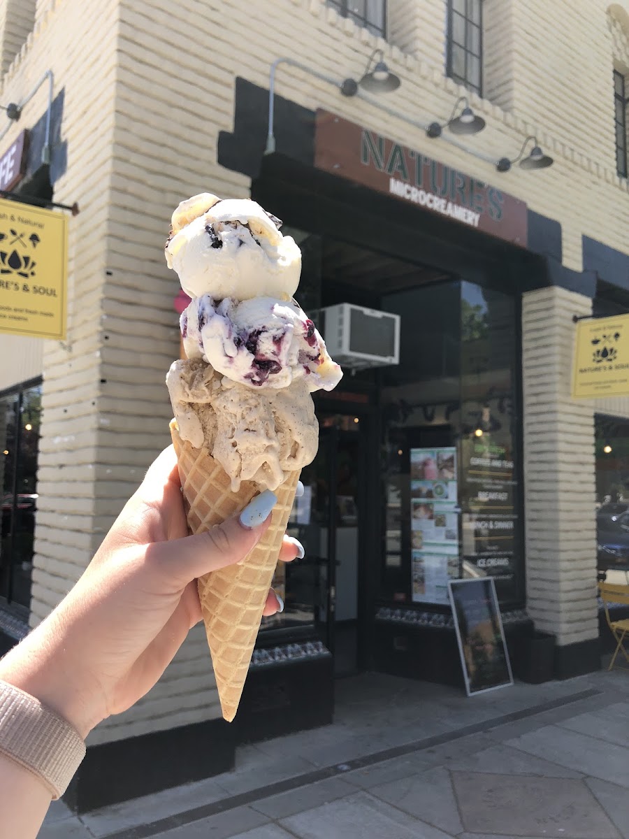 Nature’S Organic Ice Cream - Fremont