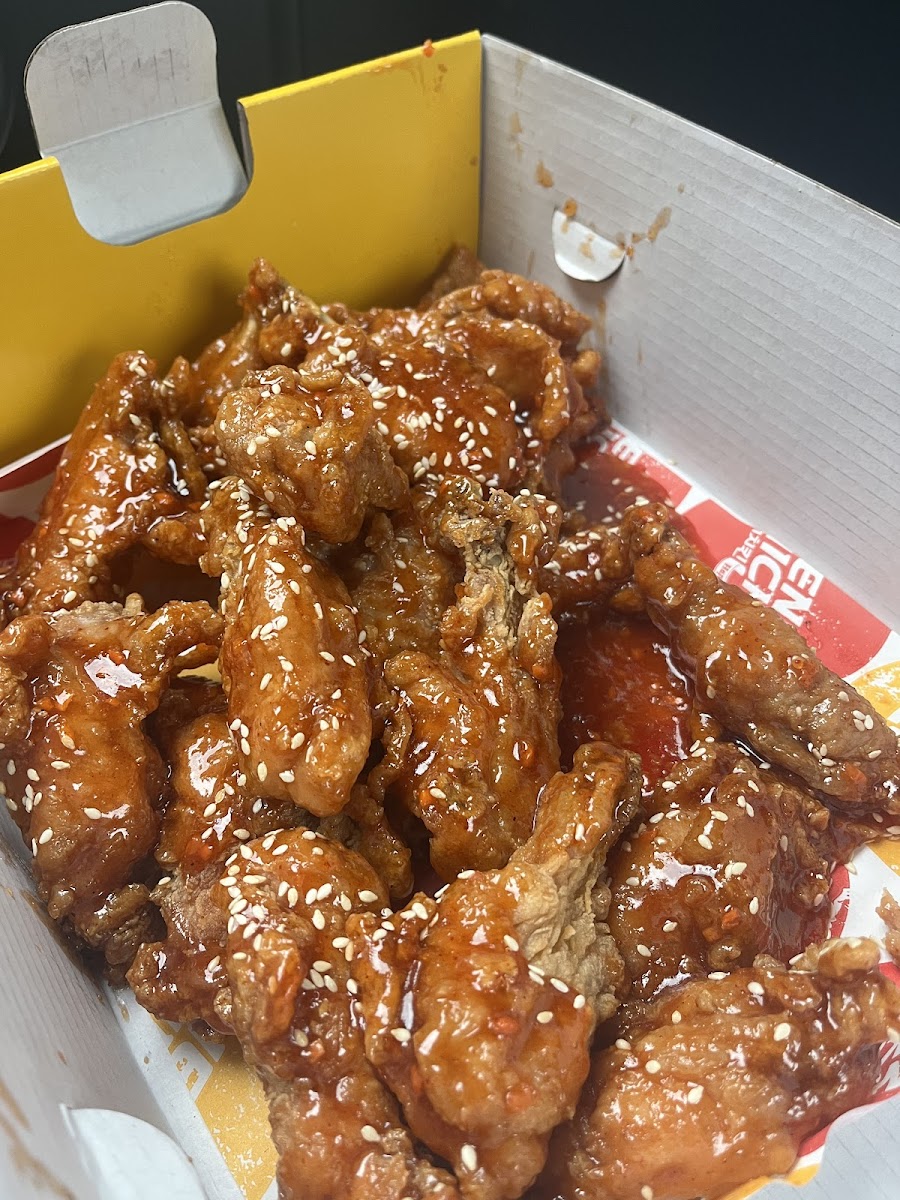 Nene Chicken Doncaster-5