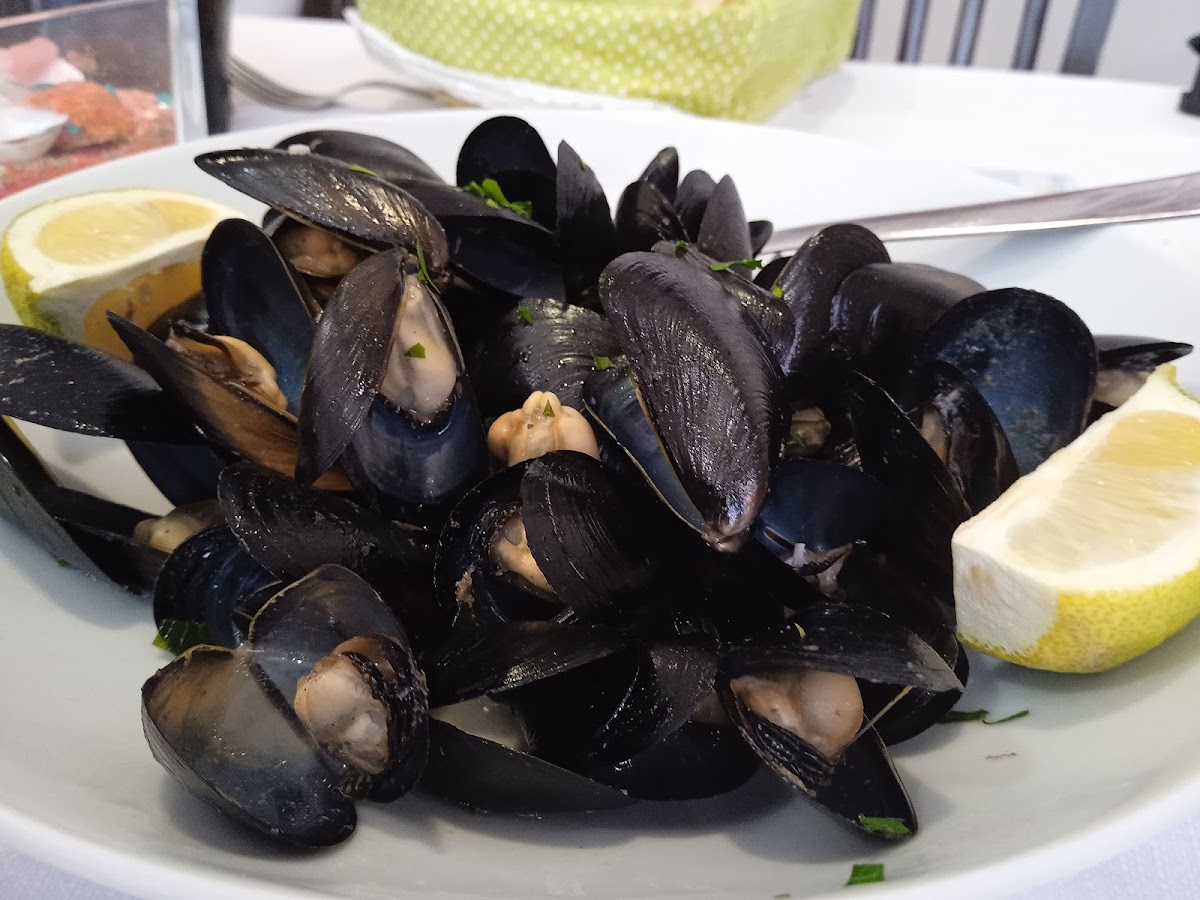 Nettuno Ristorante Pizzeria-4