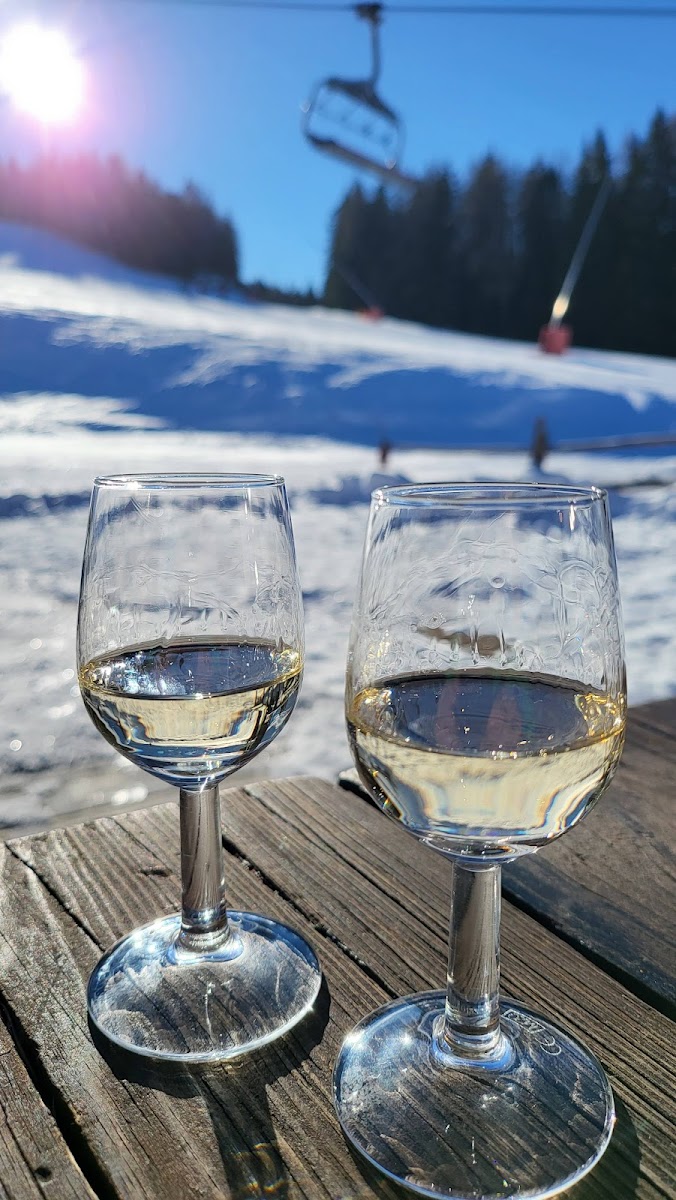 Neugarten Almseehütte-9