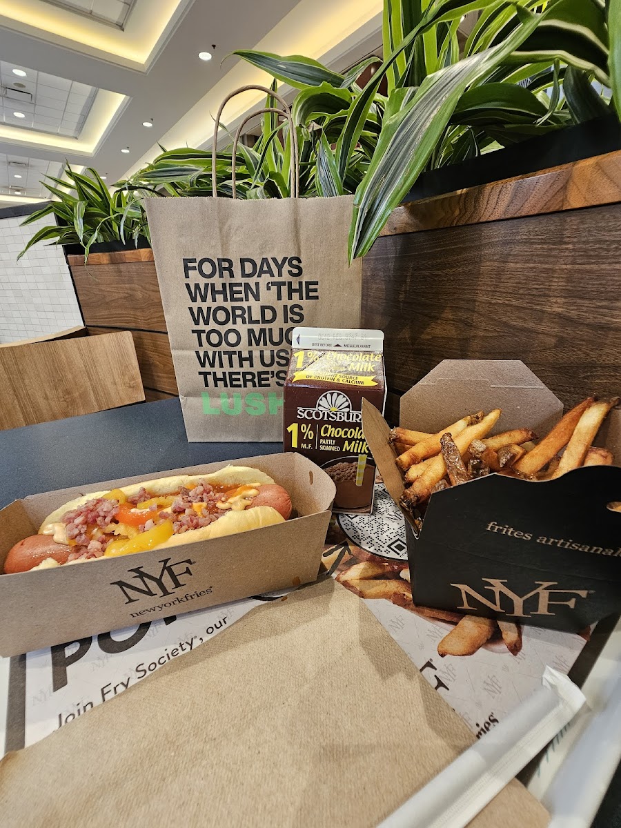 New York Fries Champlain Place-8