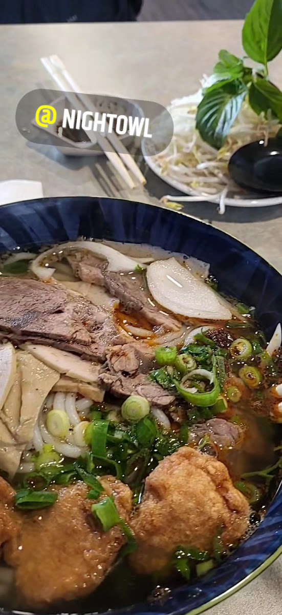 Night Owl Vietnamese Cuisine-2