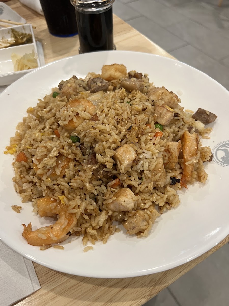 Ninja Grill-6