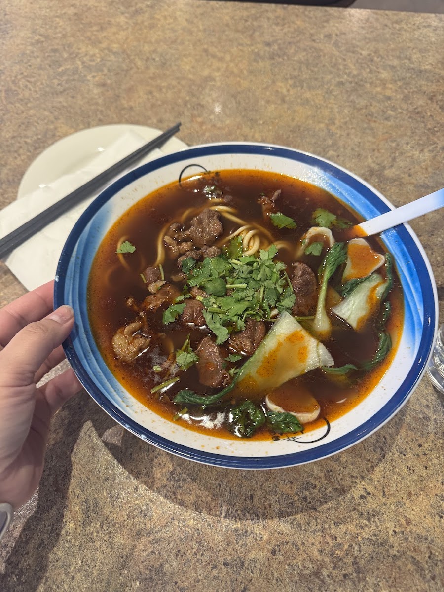 Noodle Dynasty-4