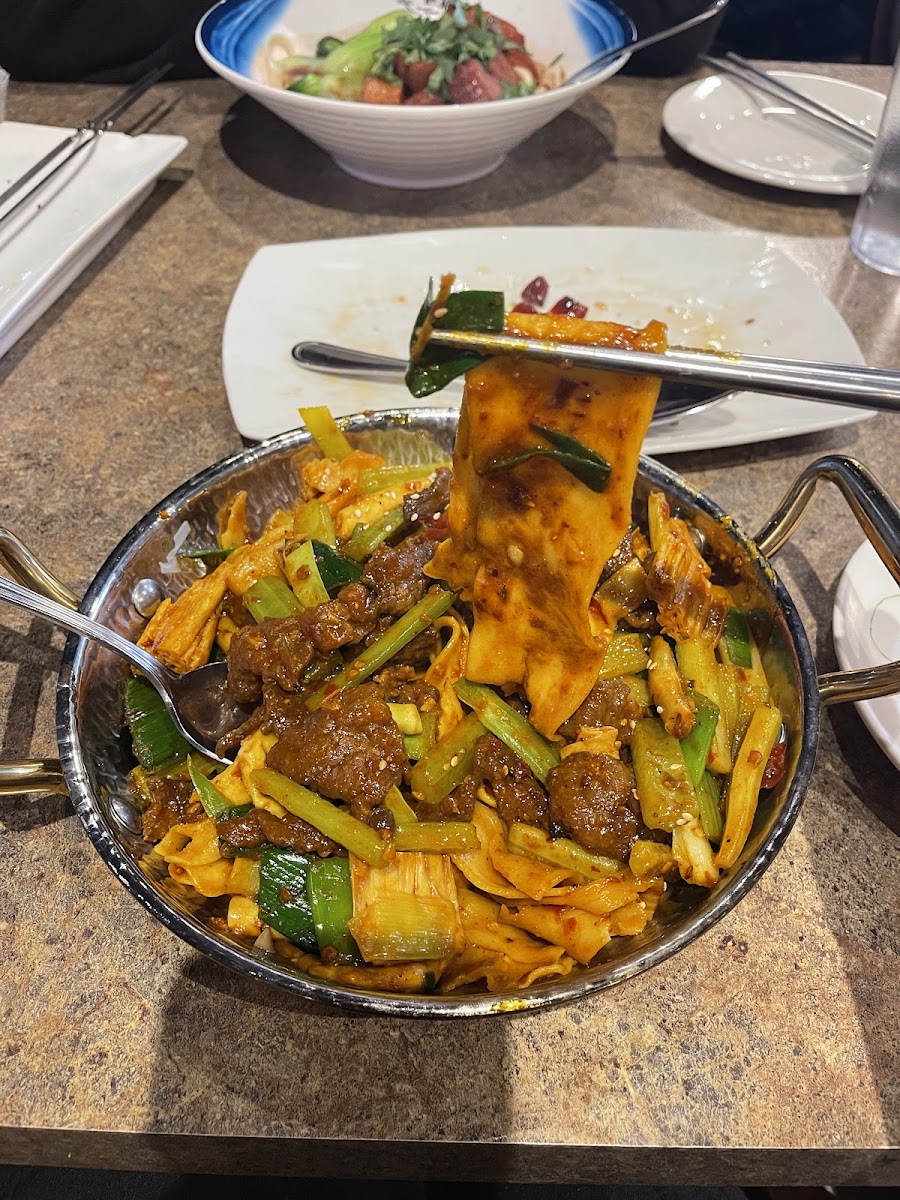 Noodle Dynasty-8