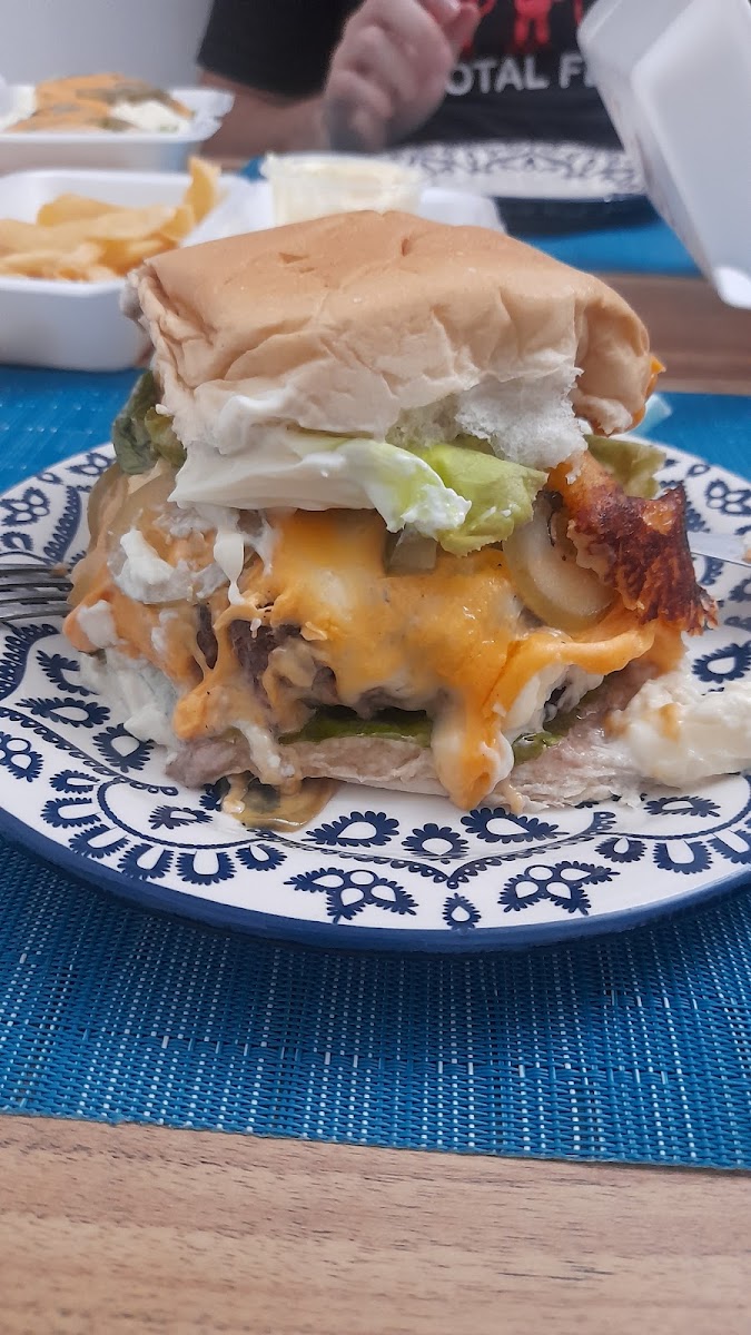 Novo Hamburger-9