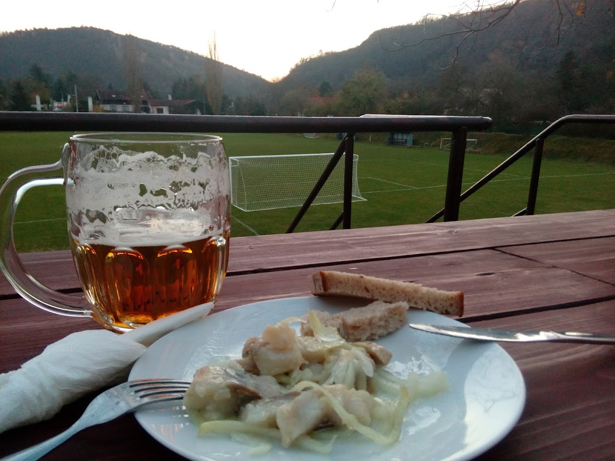 Občerstvení U Hřiště (Beer Garden U Hřiště)-10