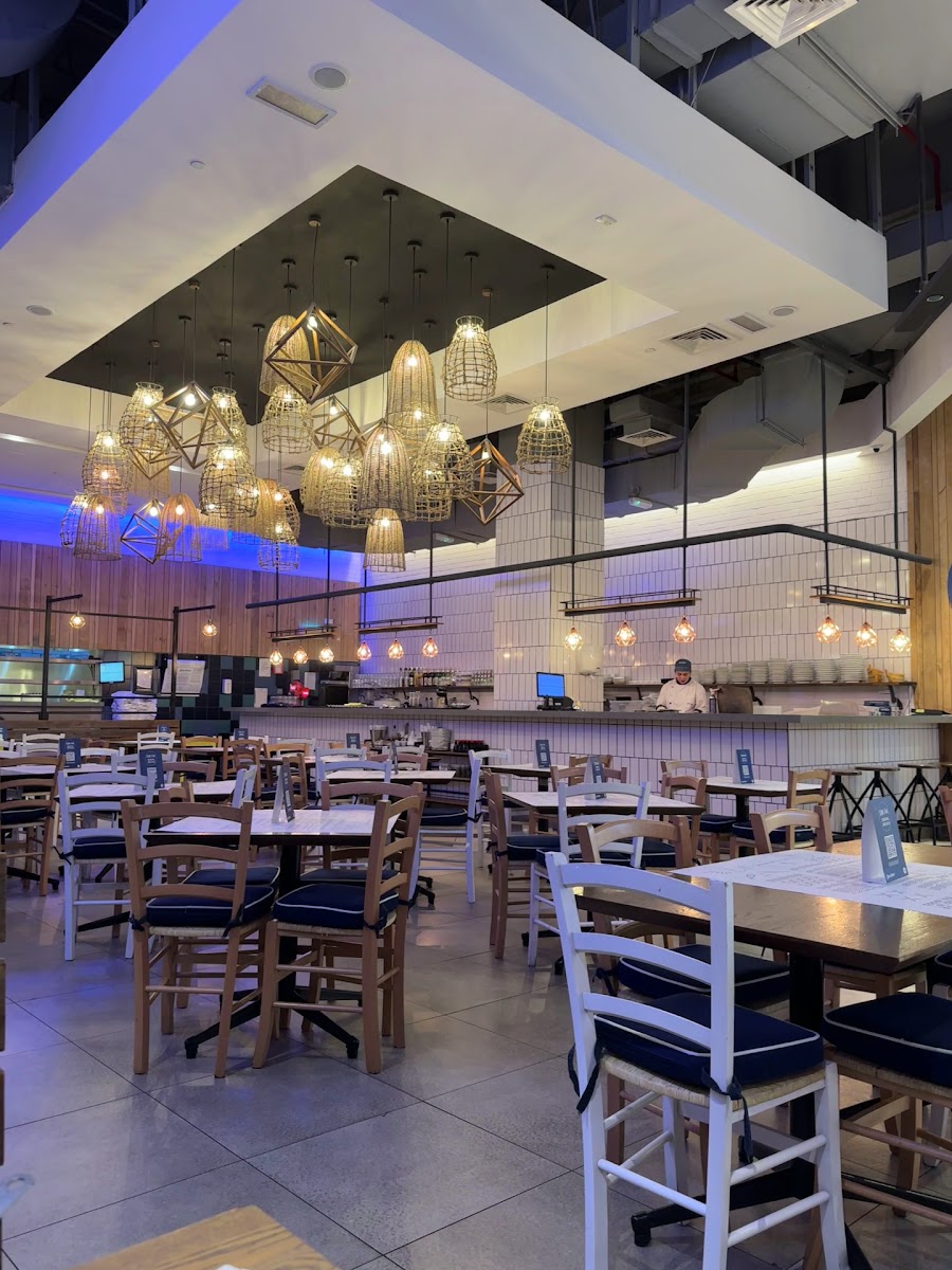 Ocean Basket-2