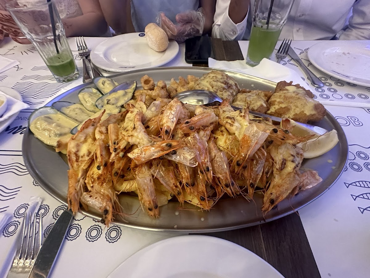 Ocean Basket-9