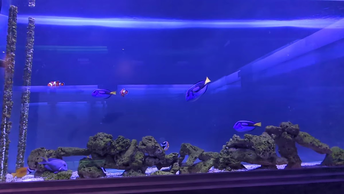 Ocean36 Restaurant-2