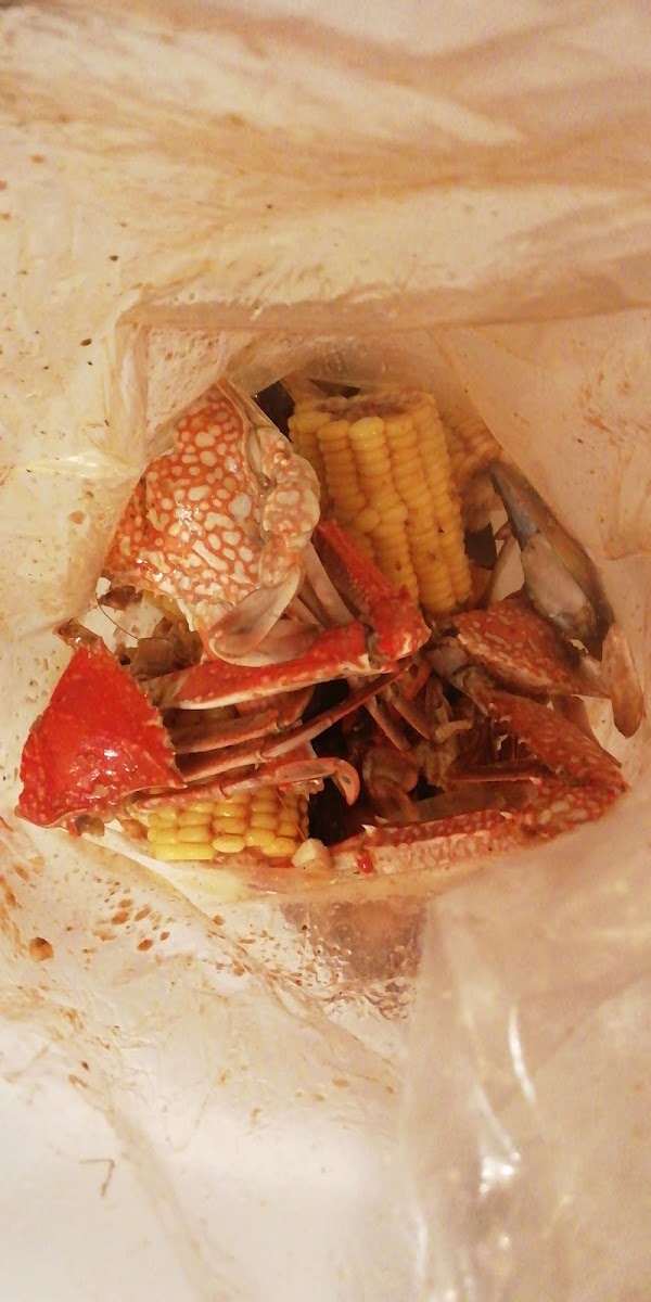 Off The Hook Seafood Restaurant - Airport Road-7