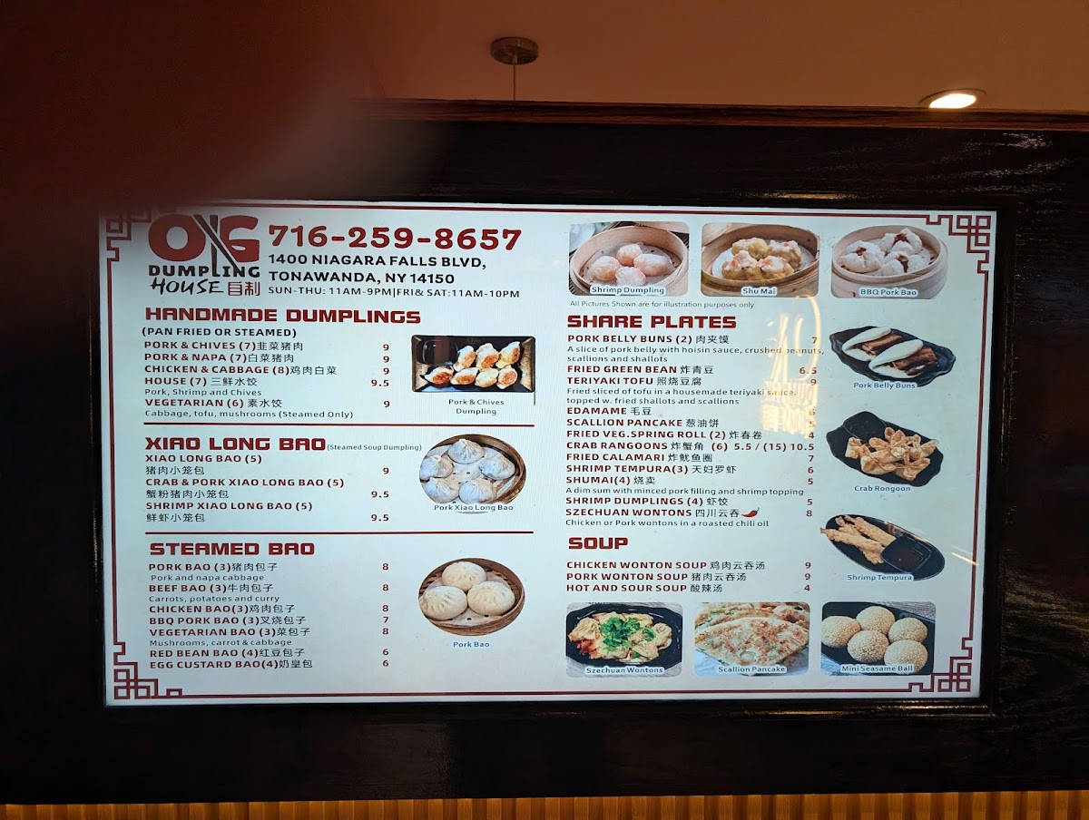Menu Og Dumpling House-9