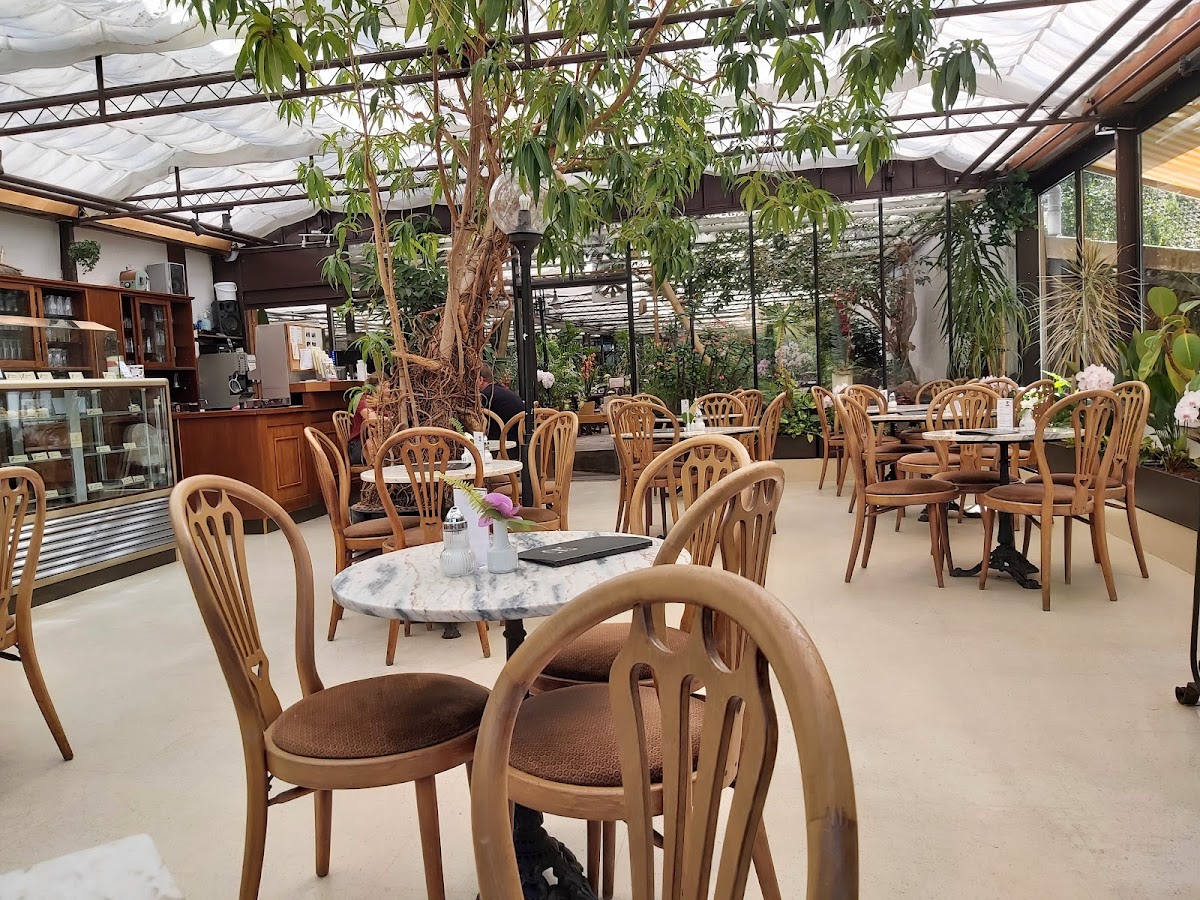 Orchids Netzer & Café Orchidee
