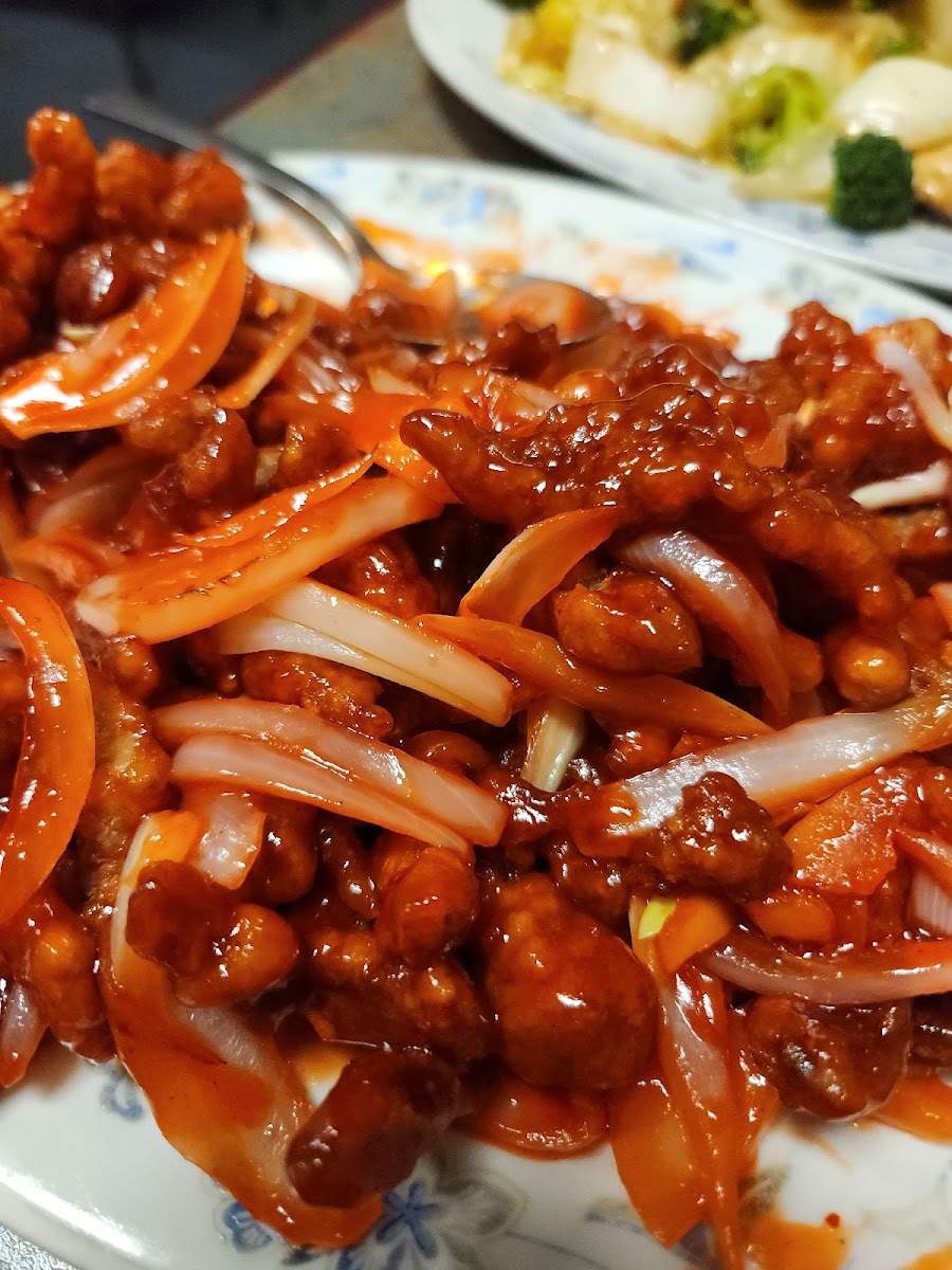 Oriental Express Restaurant-10