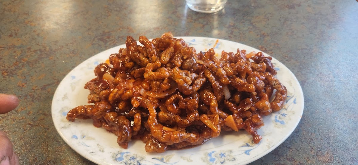 Oriental Express Restaurant-7