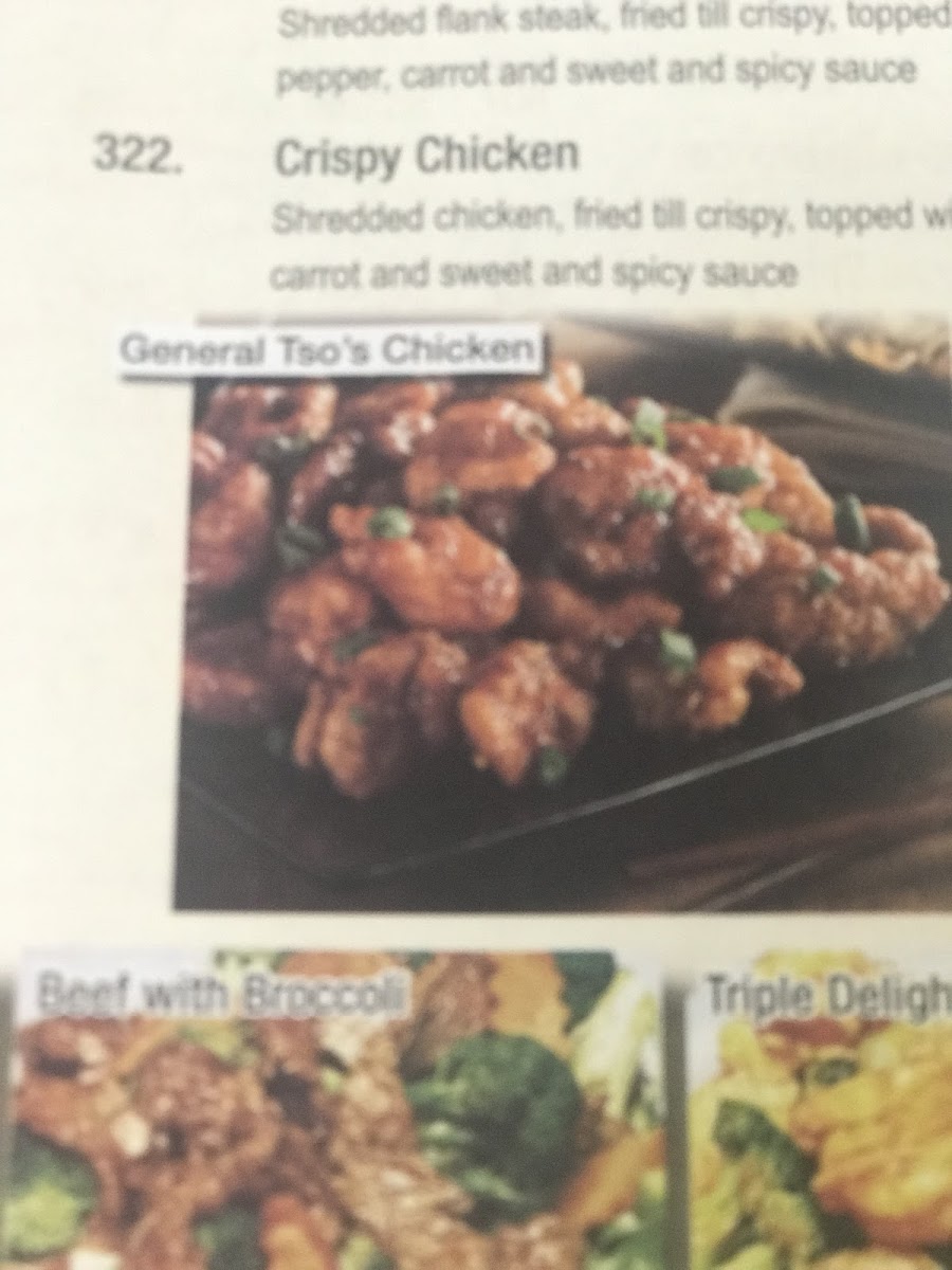 Menu Oriental Express-1