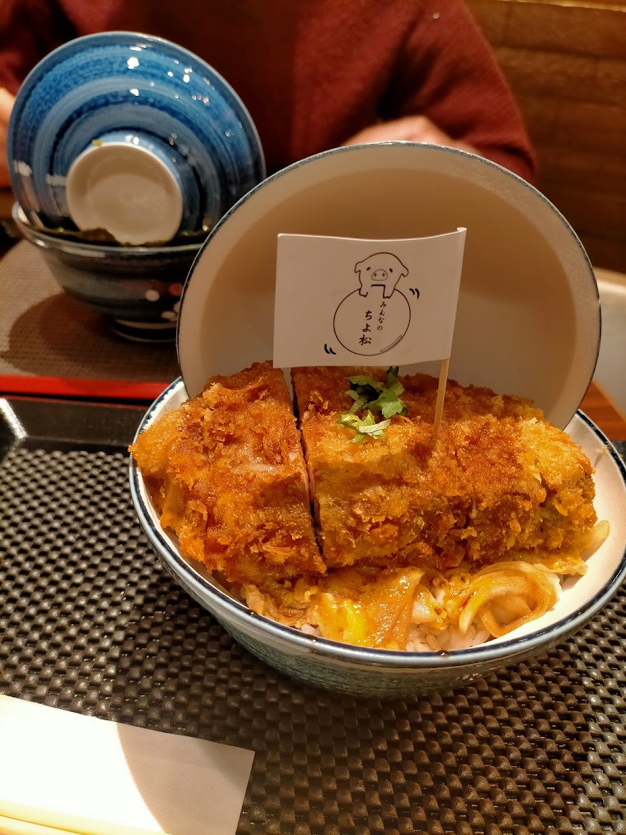 Osaka Tonkatsu In Abeno Hoop B1-5