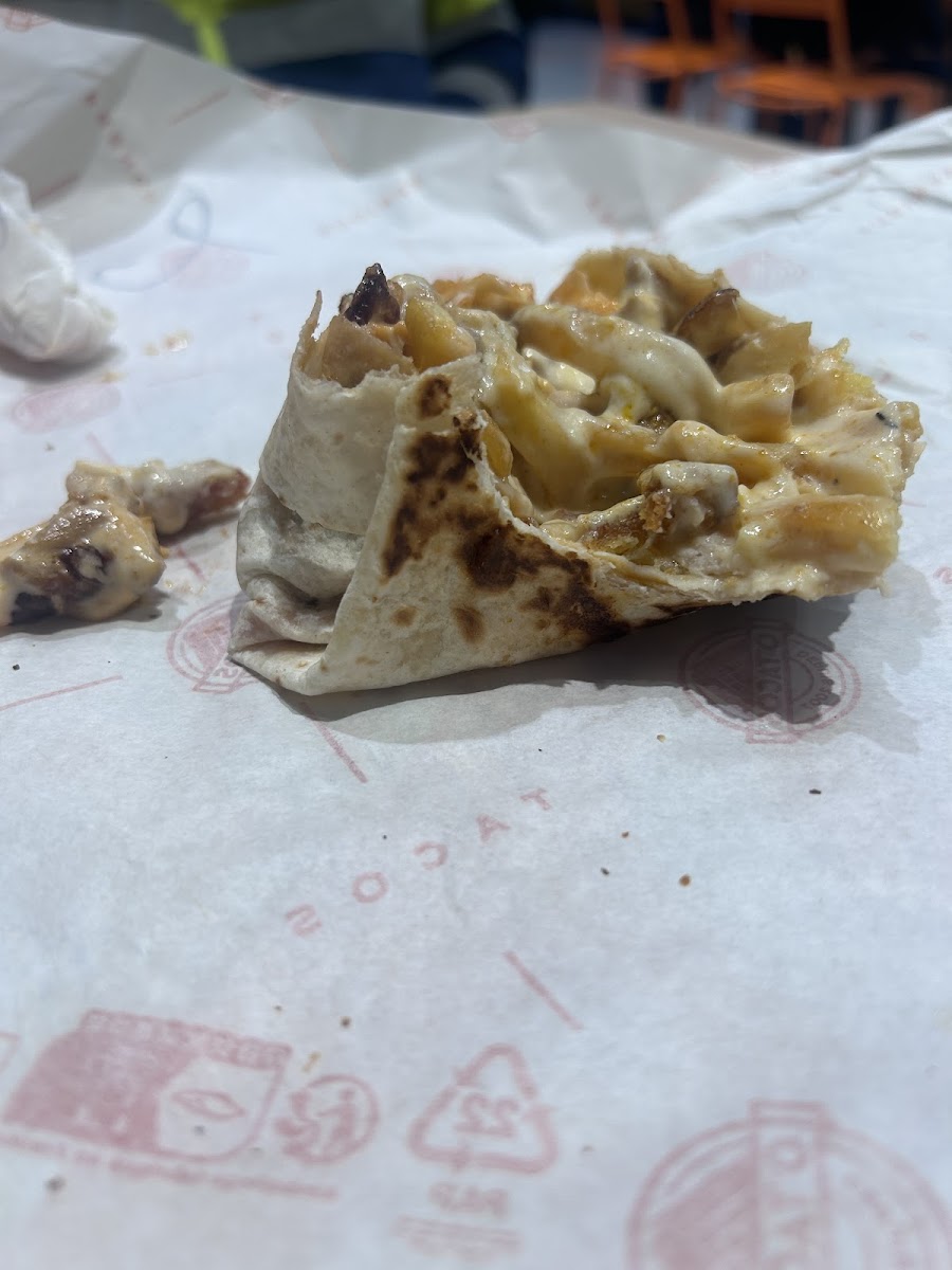 O'tacos Ginko-7